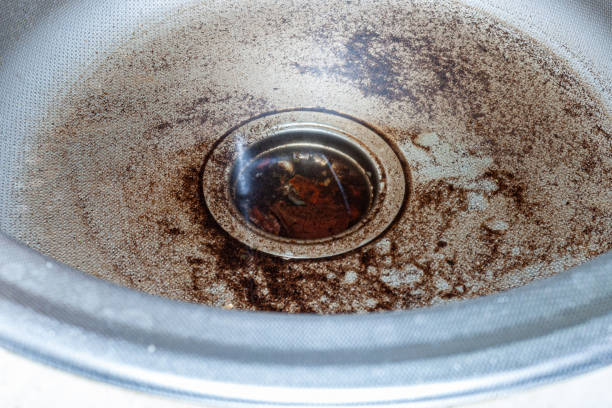drain surgeon near me